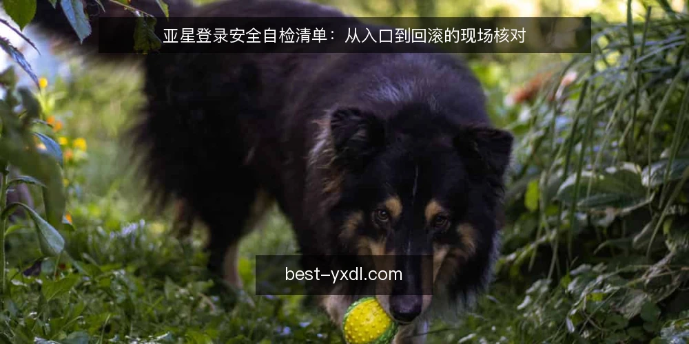 亚星登录安全自检清单：从入口到回滚的现场核对 — 现场信号：登录入口的异常迹象 配图
