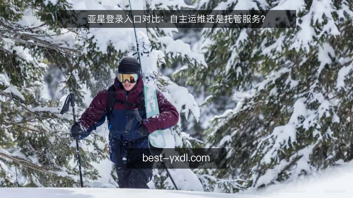 亚星登录入口对比：自主运维还是托管服务？