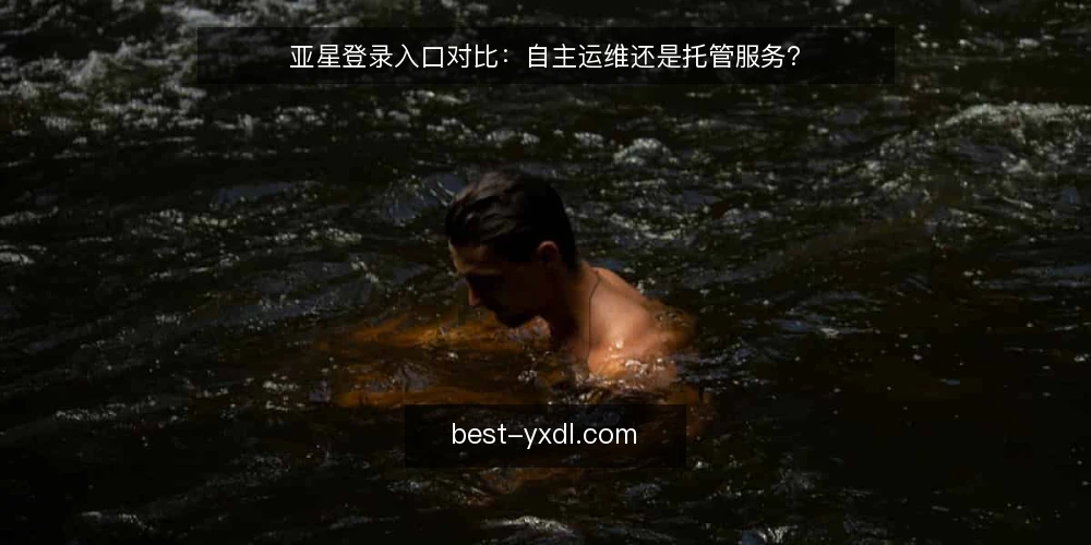 亚星登录入口对比:自主运维还是托管服务? — 选型评估标准:先定边界 配图
